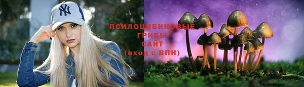 PSILOCYBIN Верхнеуральск