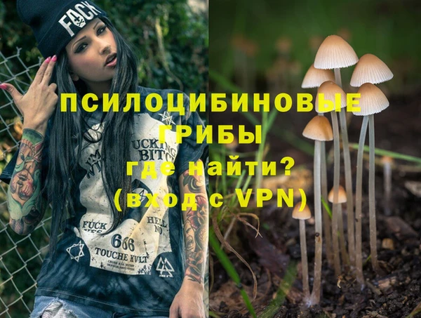 PSILOCYBIN Верхнеуральск