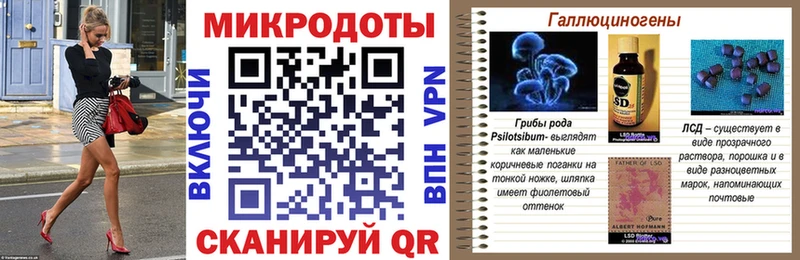 купить наркоту Бологое Псилоцибиновые грибы Cubensis